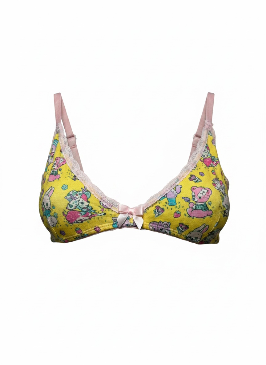 Small Kawaii cute teddy bear bralette